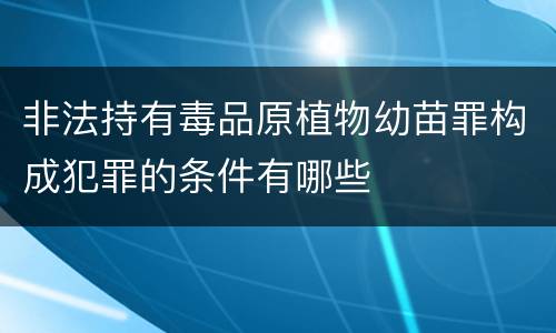 非法持有毒品原植物幼苗罪构成犯罪的条件有哪些