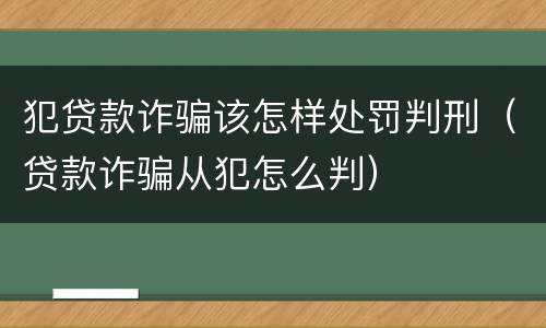 犯贷款诈骗该怎样处罚判刑（贷款诈骗从犯怎么判）
