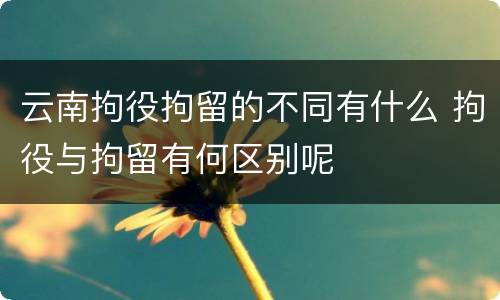 云南拘役拘留的不同有什么 拘役与拘留有何区别呢