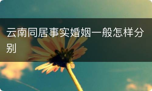 云南同居事实婚姻一般怎样分别