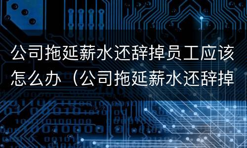 公司拖延薪水还辞掉员工应该怎么办（公司拖延薪水还辞掉员工应该怎么办理）