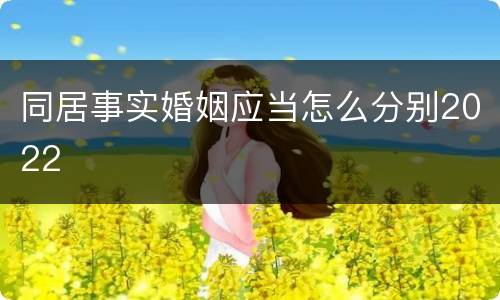 同居事实婚姻应当怎么分别2022