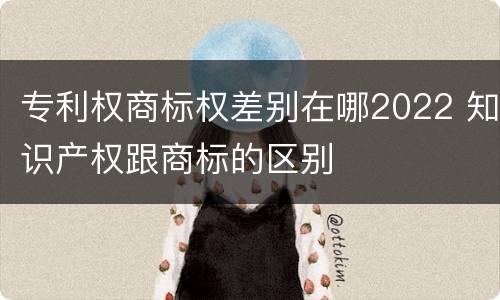 专利权商标权差别在哪2022 知识产权跟商标的区别