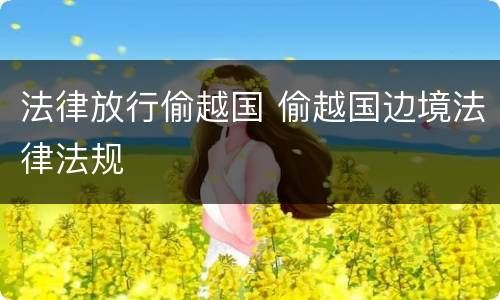 法律放行偷越国 偷越国边境法律法规