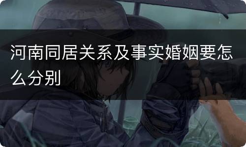 河南同居关系及事实婚姻要怎么分别