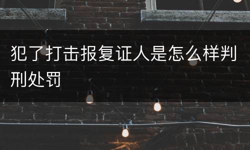 犯了打击报复证人是怎么样判刑处罚