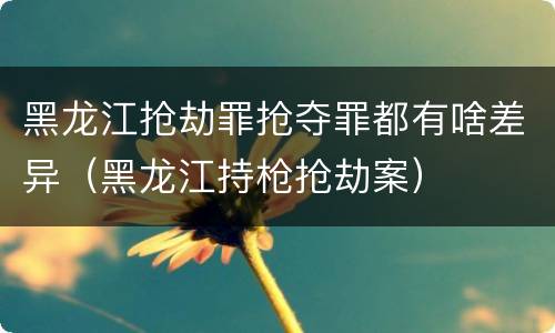 黑龙江抢劫罪抢夺罪都有啥差异(黑龙江持枪抢劫案)