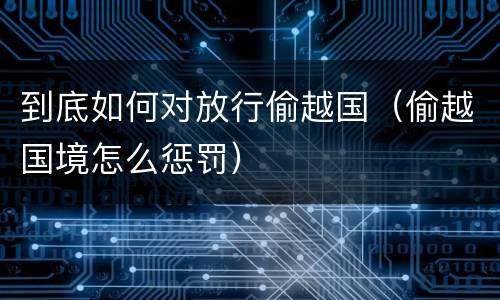 到底如何对放行偷越国（偷越国境怎么惩罚）