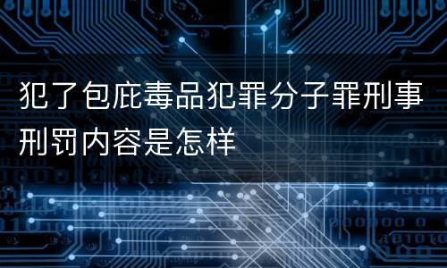 犯了包庇毒品犯罪分子罪刑事刑罚内容是怎样