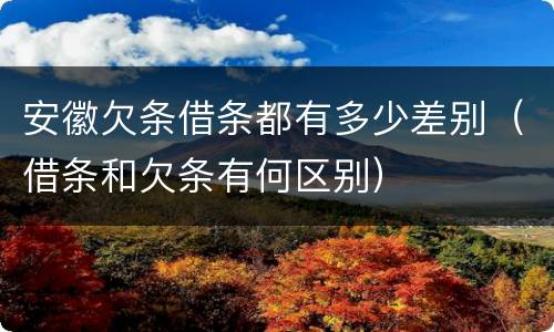 安徽欠条借条都有多少差别（借条和欠条有何区别）