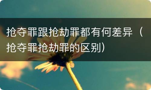 抢夺罪跟抢劫罪都有何差异（抢夺罪抢劫罪的区别）