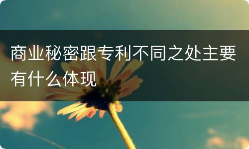 商业秘密跟专利不同之处主要有什么体现