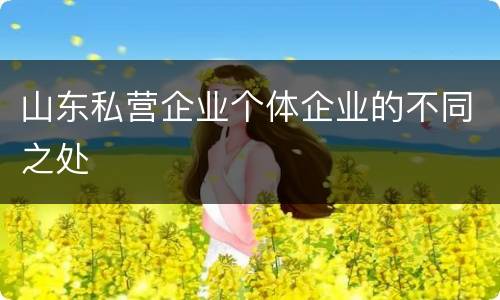 山东私营企业个体企业的不同之处
