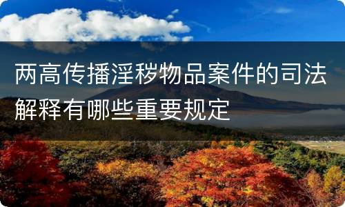 两高传播淫秽物品案件的司法解释有哪些重要规定