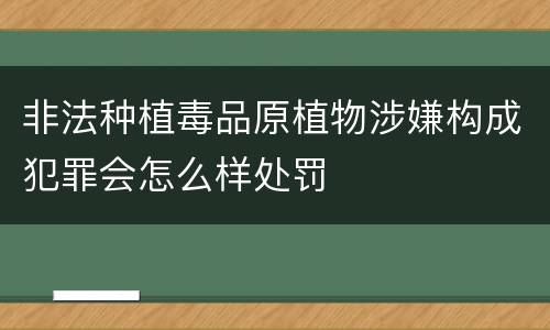 非法种植毒品原植物涉嫌构成犯罪会怎么样处罚