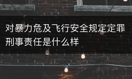 对暴力危及飞行安全规定定罪刑事责任是什么样
