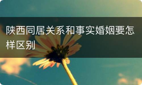 陕西同居关系和事实婚姻要怎样区别