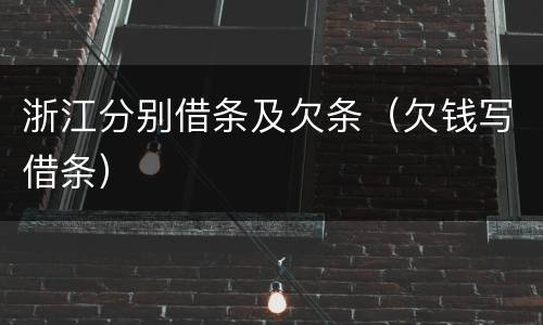 浙江分别借条及欠条（欠钱写借条）