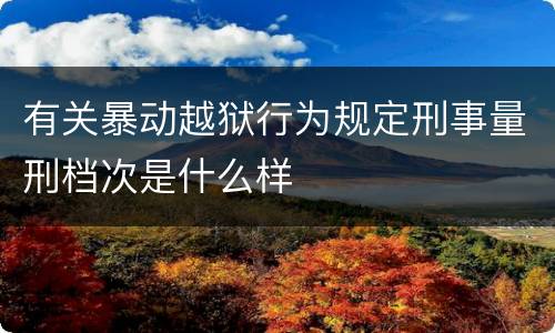 有关暴动越狱行为规定刑事量刑档次是什么样