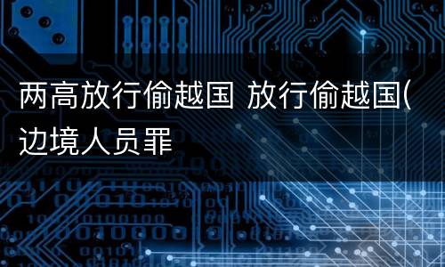 两高放行偷越国 放行偷越国(边境人员罪