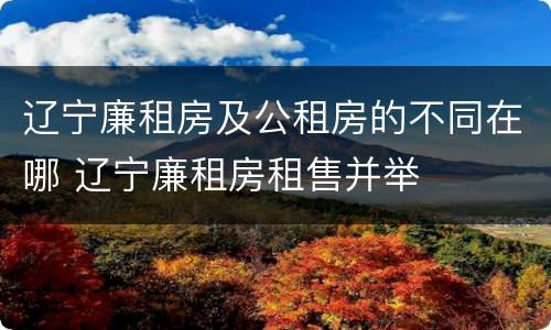 辽宁廉租房及公租房的不同在哪 辽宁廉租房租售并举