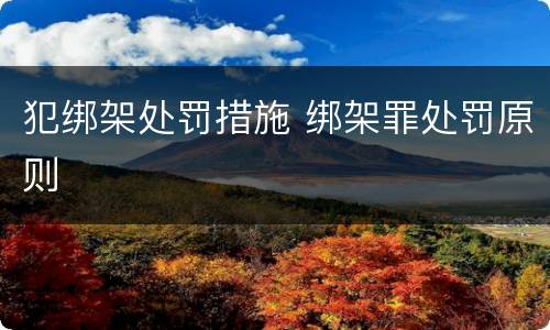 犯绑架处罚措施 绑架罪处罚原则