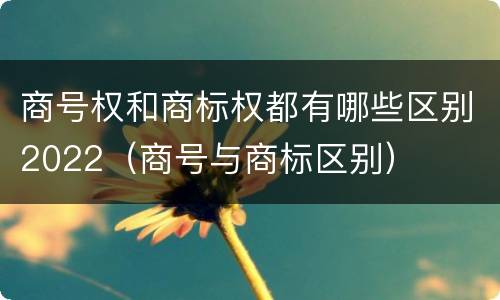 商号权和商标权都有哪些区别2022（商号与商标区别）