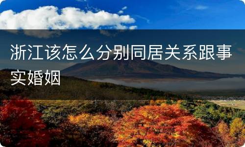 浙江该怎么分别同居关系跟事实婚姻