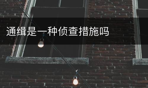 通缉是一种侦查措施吗