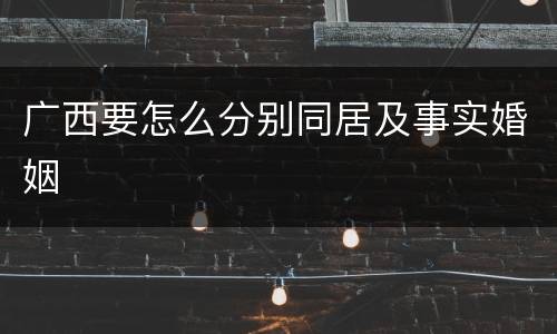广西要怎么分别同居及事实婚姻