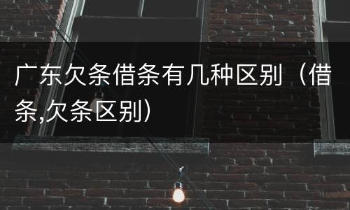 广东欠条借条有几种区别（借条,欠条区别）