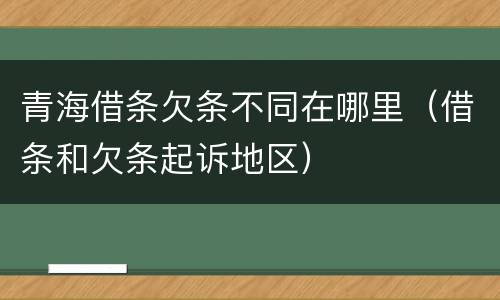 青海借条欠条不同在哪里（借条和欠条起诉地区）