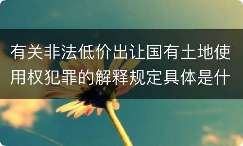 有关非法低价出让国有土地使用权犯罪的解释规定具体是什么内容