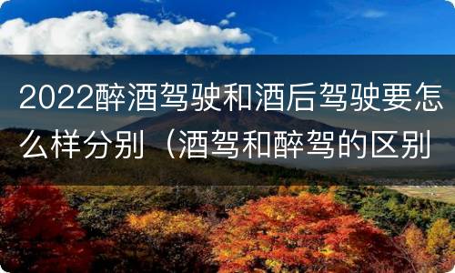 2022醉酒驾驶和酒后驾驶要怎么样分别（酒驾和醉驾的区别2020年）