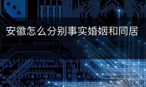 安徽怎么分别事实婚姻和同居