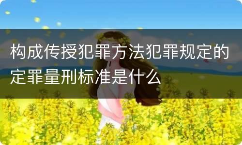 构成传授犯罪方法犯罪规定的定罪量刑标准是什么