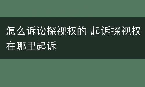 怎么诉讼探视权的 起诉探视权在哪里起诉