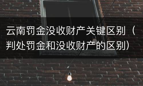 云南罚金没收财产关键区别（判处罚金和没收财产的区别）