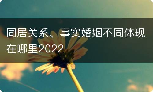 同居关系、事实婚姻不同体现在哪里2022