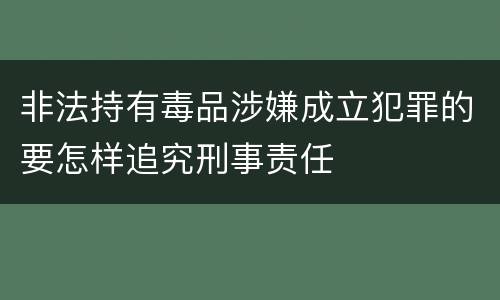 非法持有毒品涉嫌成立犯罪的要怎样追究刑事责任