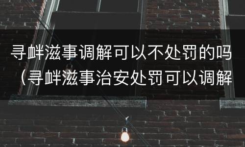 寻衅滋事调解可以不处罚的吗（寻衅滋事治安处罚可以调解吗）
