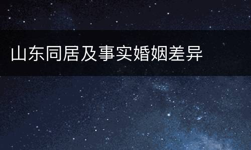 山东同居及事实婚姻差异