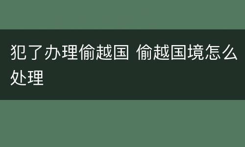 犯了办理偷越国 偷越国境怎么处理