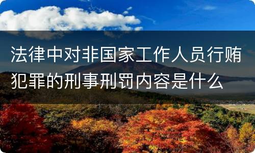法律中对非国家工作人员行贿犯罪的刑事刑罚内容是什么