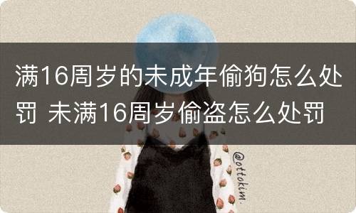 满16周岁的未成年偷狗怎么处罚 未满16周岁偷盗怎么处罚