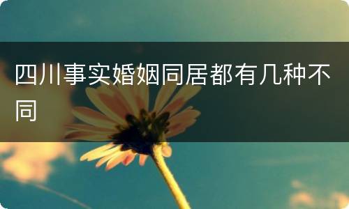 四川事实婚姻同居都有几种不同