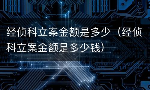 经侦科立案金额是多少（经侦科立案金额是多少钱）