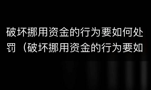 破坏挪用资金的行为要如何处罚（破坏挪用资金的行为要如何处罚呢）