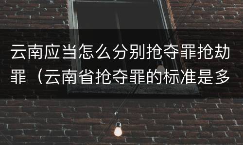云南应当怎么分别抢夺罪抢劫罪（云南省抢夺罪的标准是多少?）