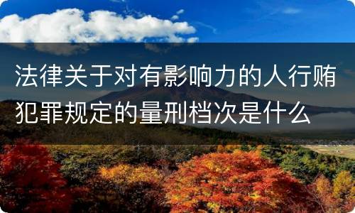 法律关于对有影响力的人行贿犯罪规定的量刑档次是什么